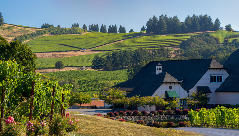 Vineyard and winery with rolling hills in the background