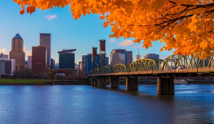 bridge and city overlooking water in the fall season