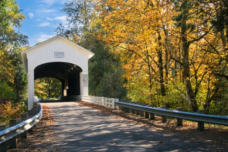road through tunnel in the fall