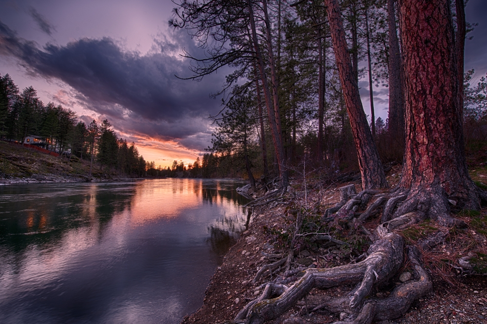 River in a forest at sunset