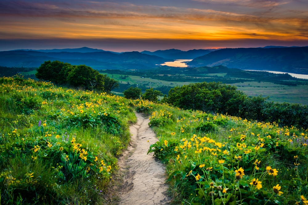 Hiking trail during a sunset